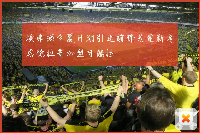 埃弗顿今夏计划引进前锋或重新考虑德拉普加盟可能性